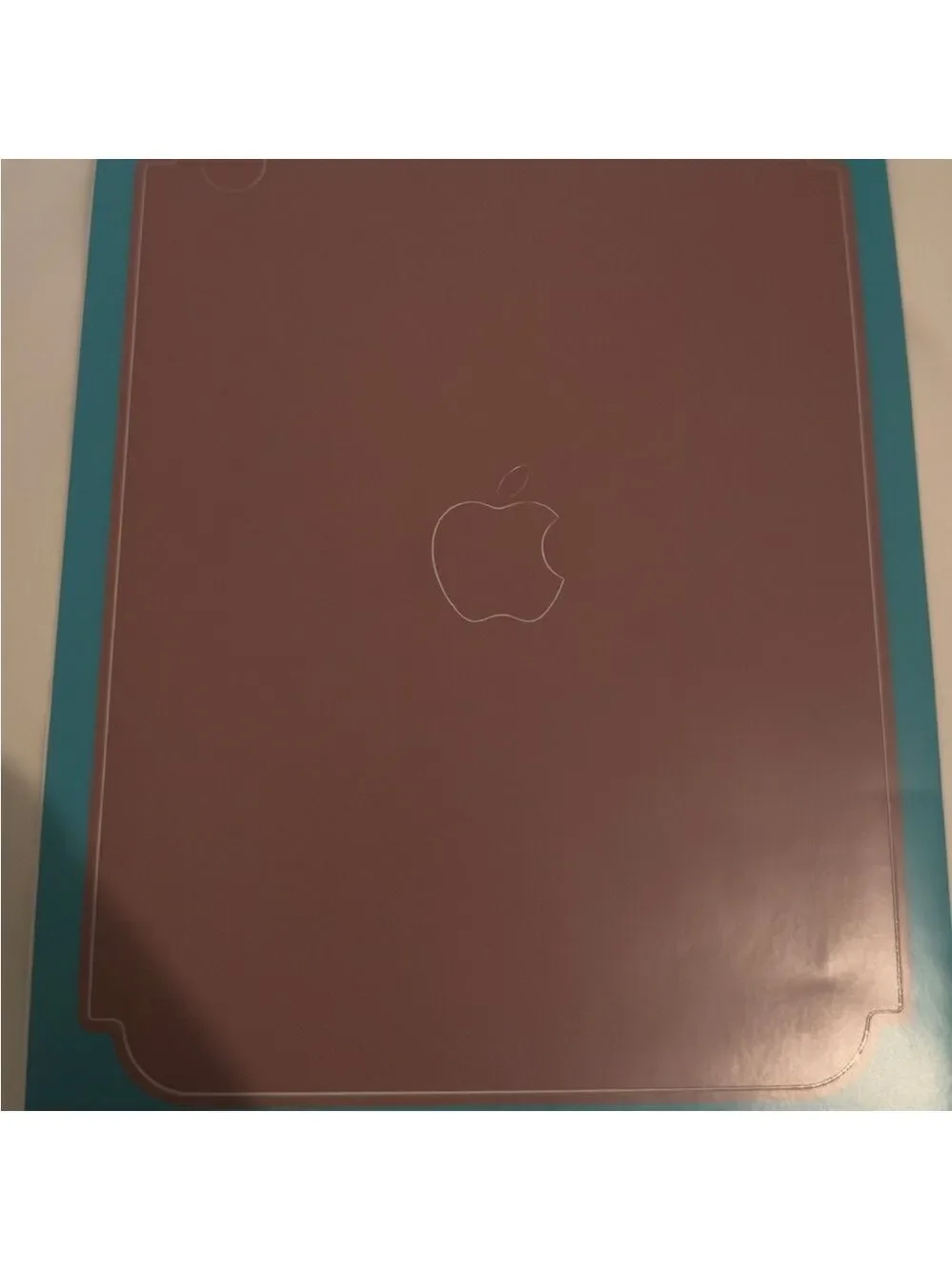 iPad mini 6/7 back skin decal brand new